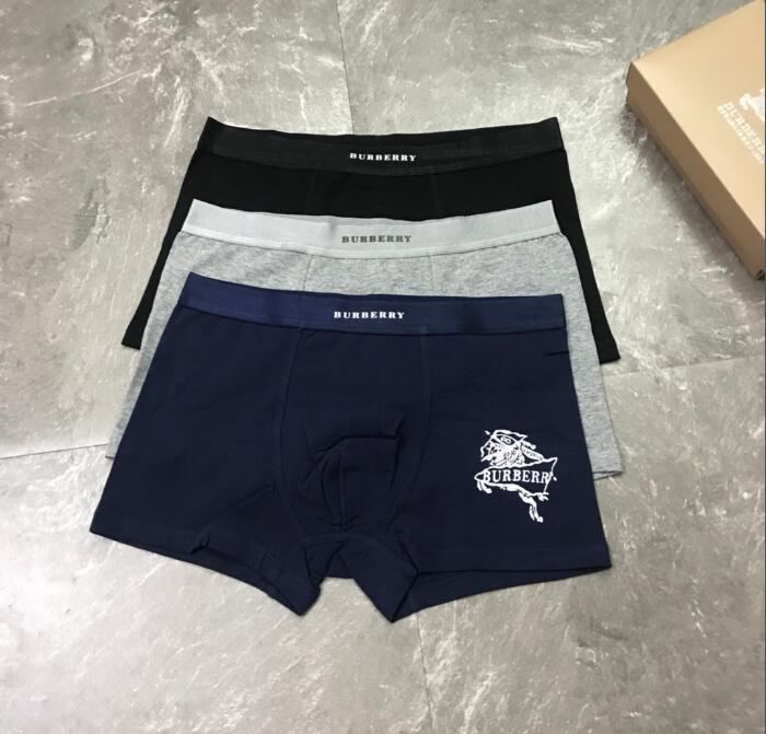 Underpants Top 3 Pieces