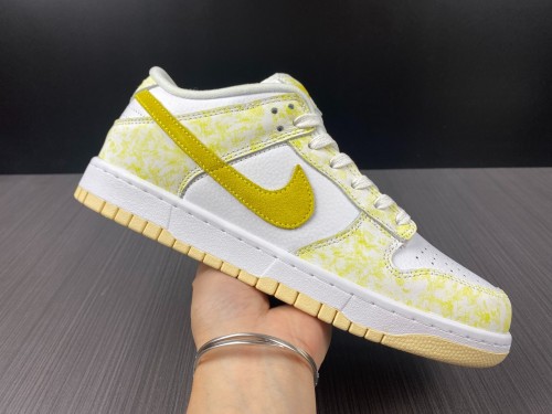 Nike Dunk SB Low DM9467-700