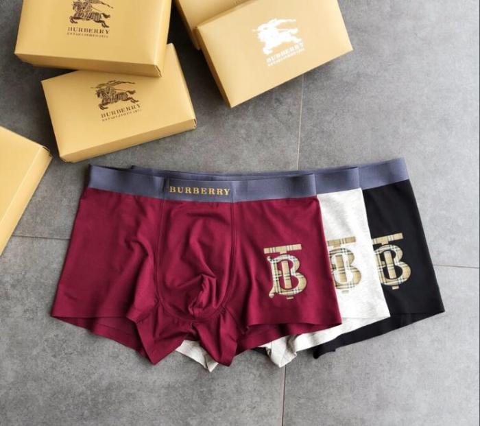 Underpants Top 3 Pieces