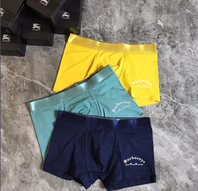 Underpants Top 3 Pieces
