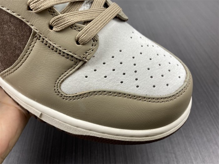 【Free shipping】Dunk High Light Chocolate  DH5348-100