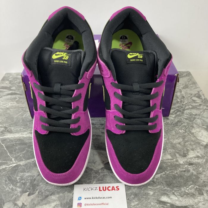 SB Dunk Low Pro ACG Terra Red Plum BQ6817-501