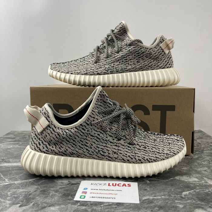 Yeezy Boost 350 Turtle Dove  AQ4832