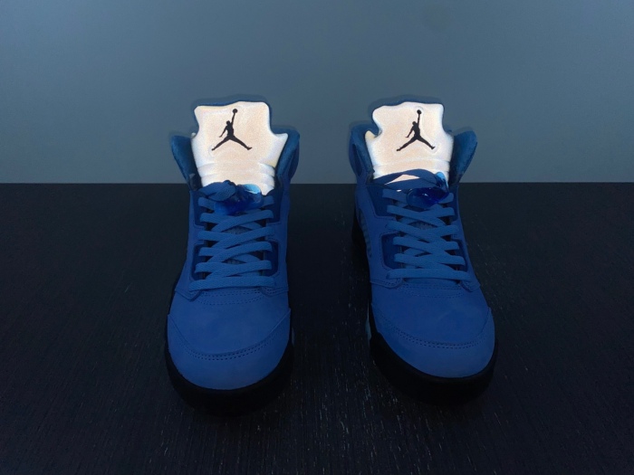Air Jordan 5 UNC DV1310-401