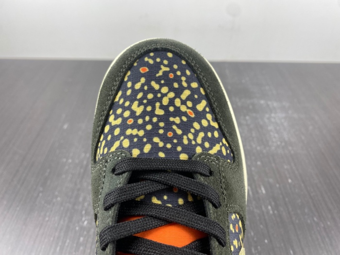 Dunk Low Rainbow Trout Dunk Low Rainbow Trout