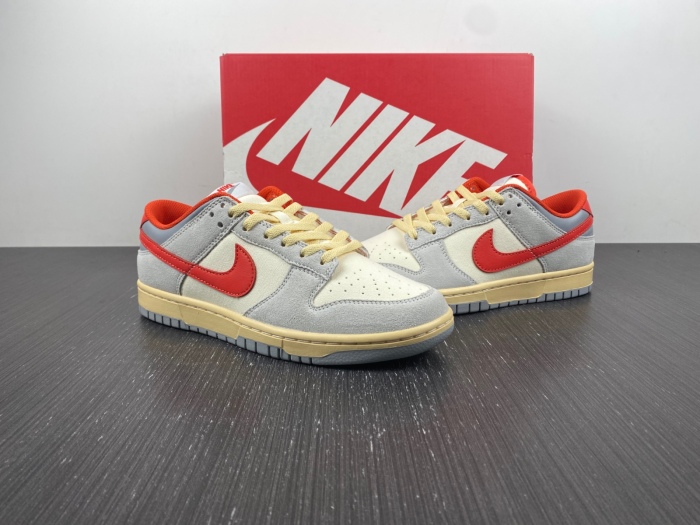 Air Dunk 85 Athletic Department  FJ5429-133