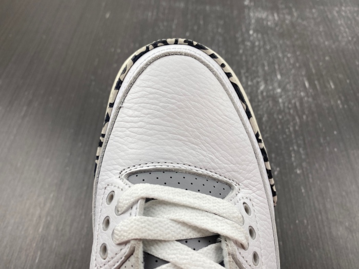 Air Jordan 3 Retro Hide N' Sneak DX6665-100