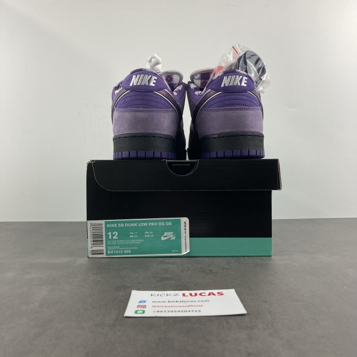 SB Dunk Low Concepts Purple Lobster  BV1310-555