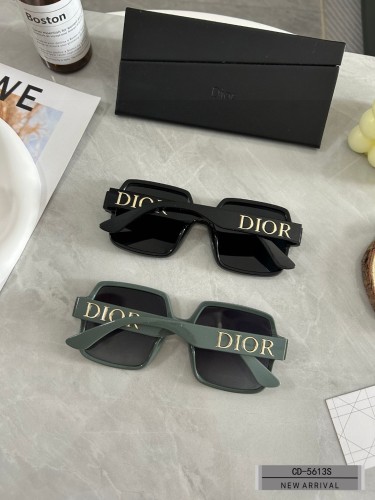 D*ior Glasses XX 20230710-11