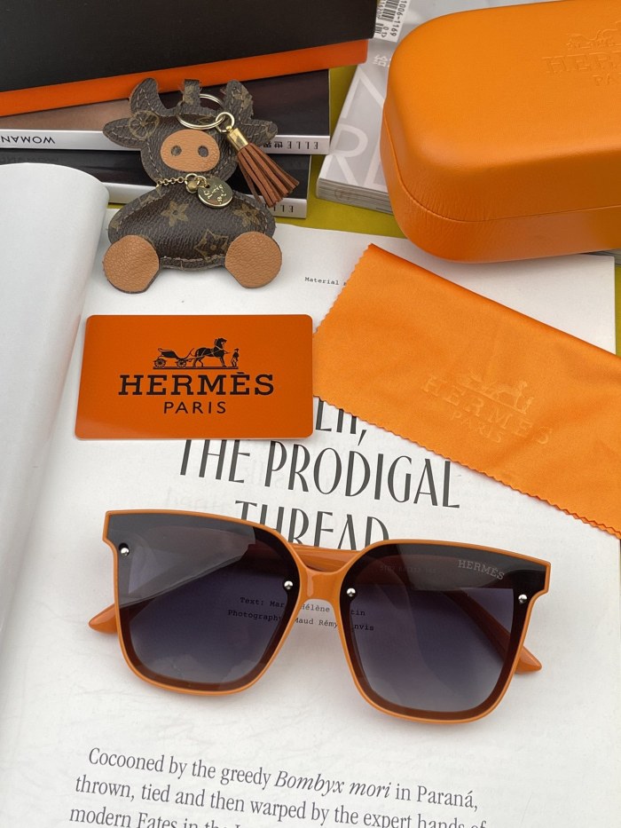 H*ermes Glasses Top XX 20230708-108