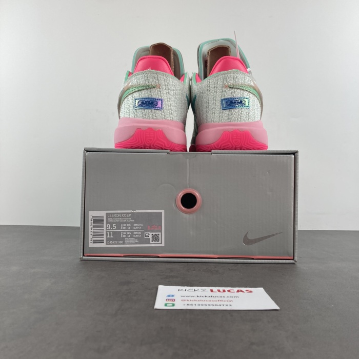 Lebron 20 Time Machine DJ5423-300/DJ5422-300