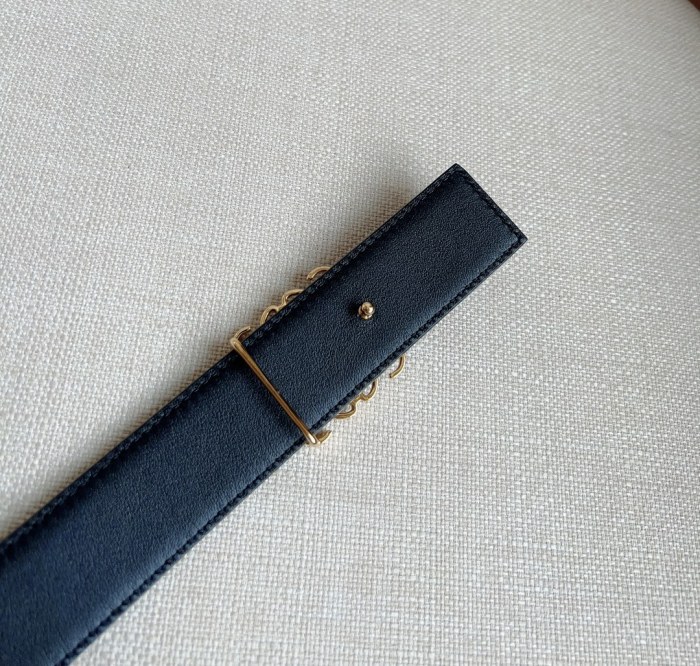 L*oewe Top Belts  AT 20230904-36