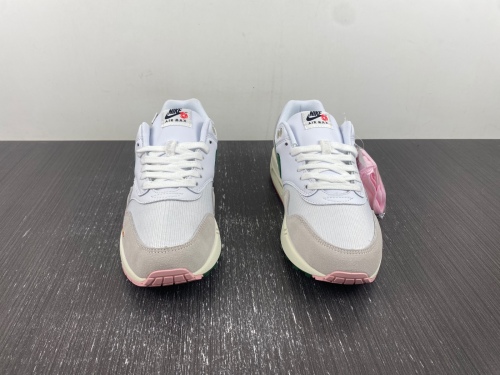 Air Max 1 All Petals United FQ0256-131