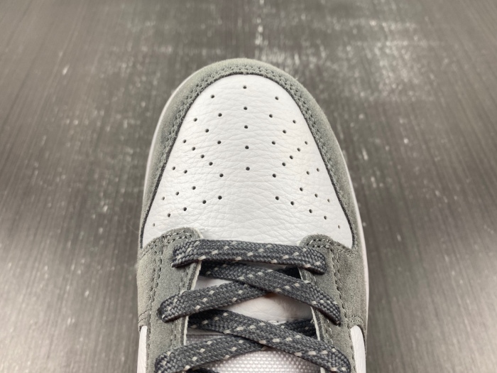 SB Dunk Low Gery Gum FV0389-100