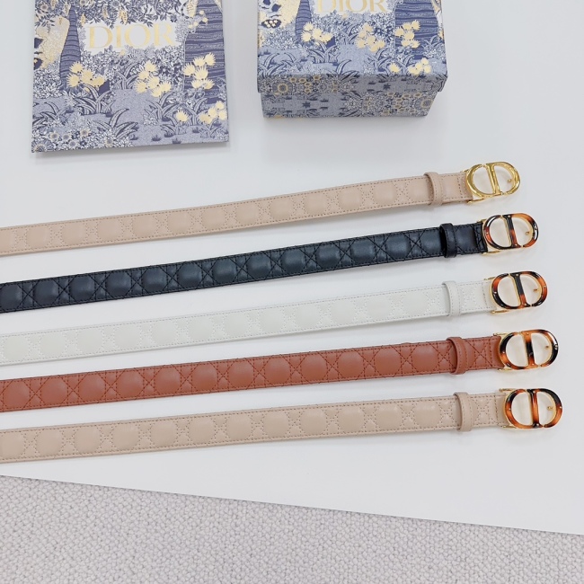 D*ior Top Belts  AT 20230906-96