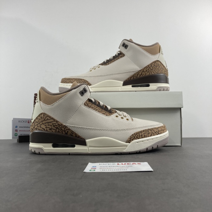 Air Jordan 3 Retro Palomino  CT8532-102