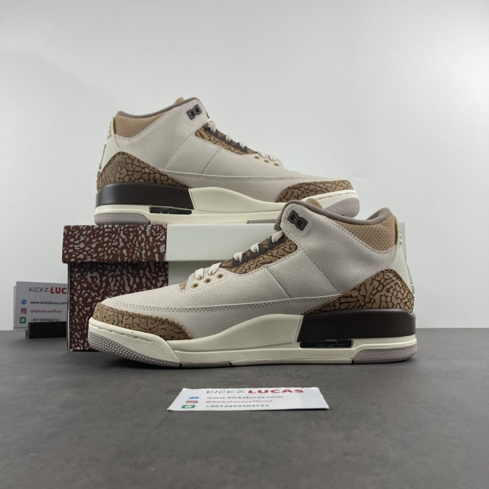 Air Jordan 3 Retro Palomino  CT8532-102