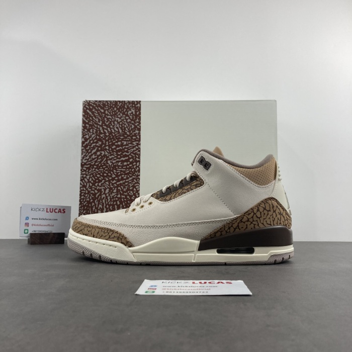 Air Jordan 3 Retro Palomino  CT8532-102