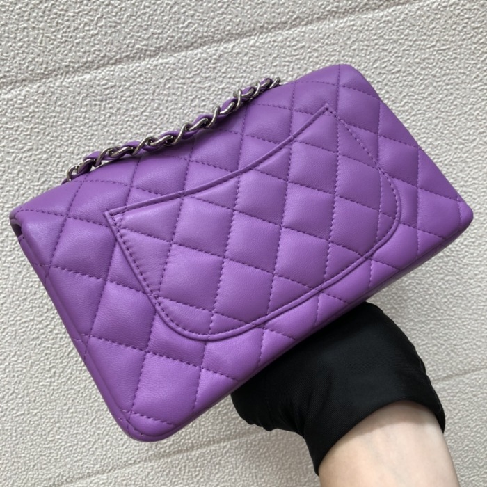 C*hanel Crossbody bag Top Quality HT 20231013-9 20cm