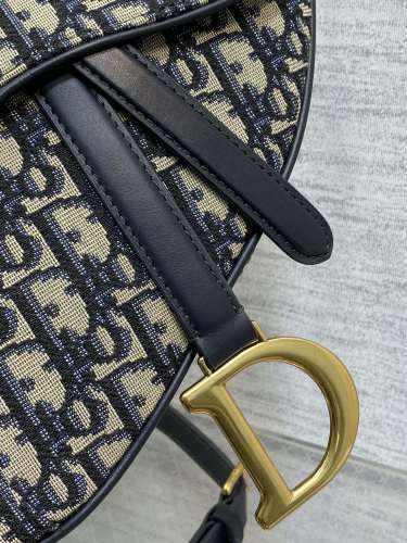 D*ior Saddle bag Top Quality HT 20231017-30 24×6×18cm