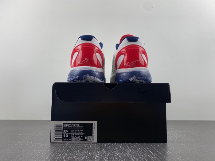 Kobe 6 Protro CW2193-101