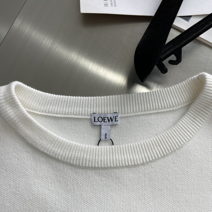 L*oewe Sweatshirt Top Quality AZ 20231027-19