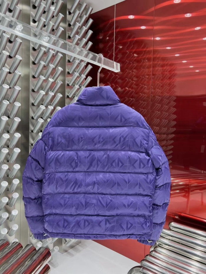 D*ior Down Coat Top Quality D17 20231030-14