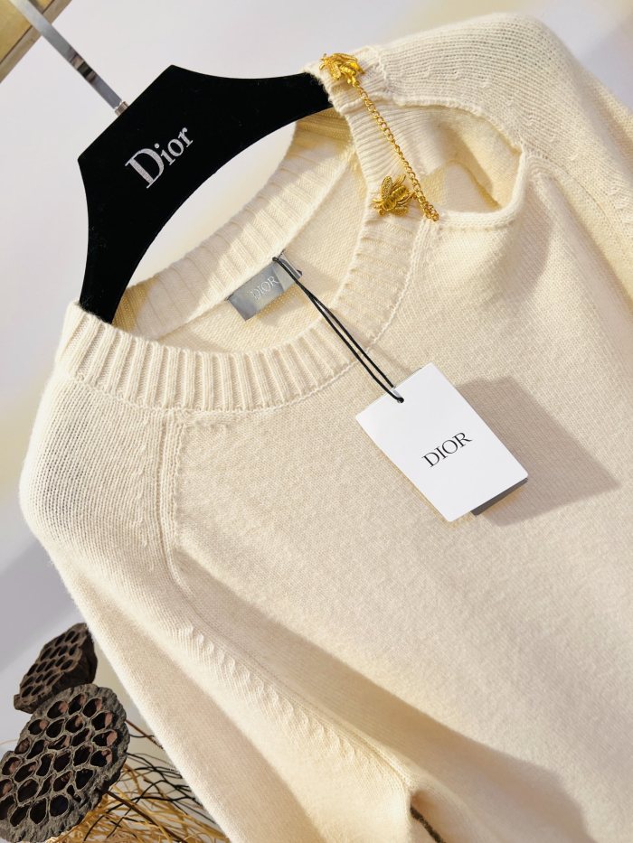 D*ior Hoodie Top Quality D17 20231031-2