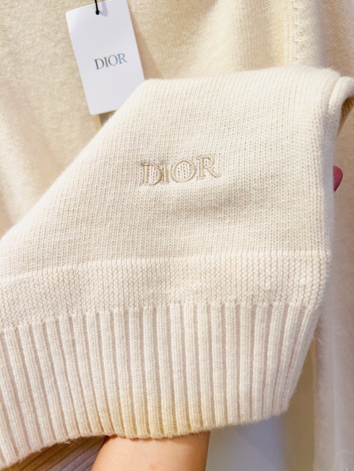 D*ior Hoodie Top Quality D17 20231031-2
