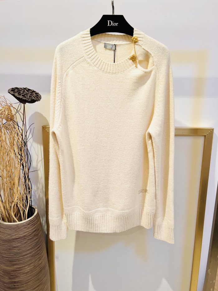 D*ior Hoodie Top Quality D17 20231031-2
