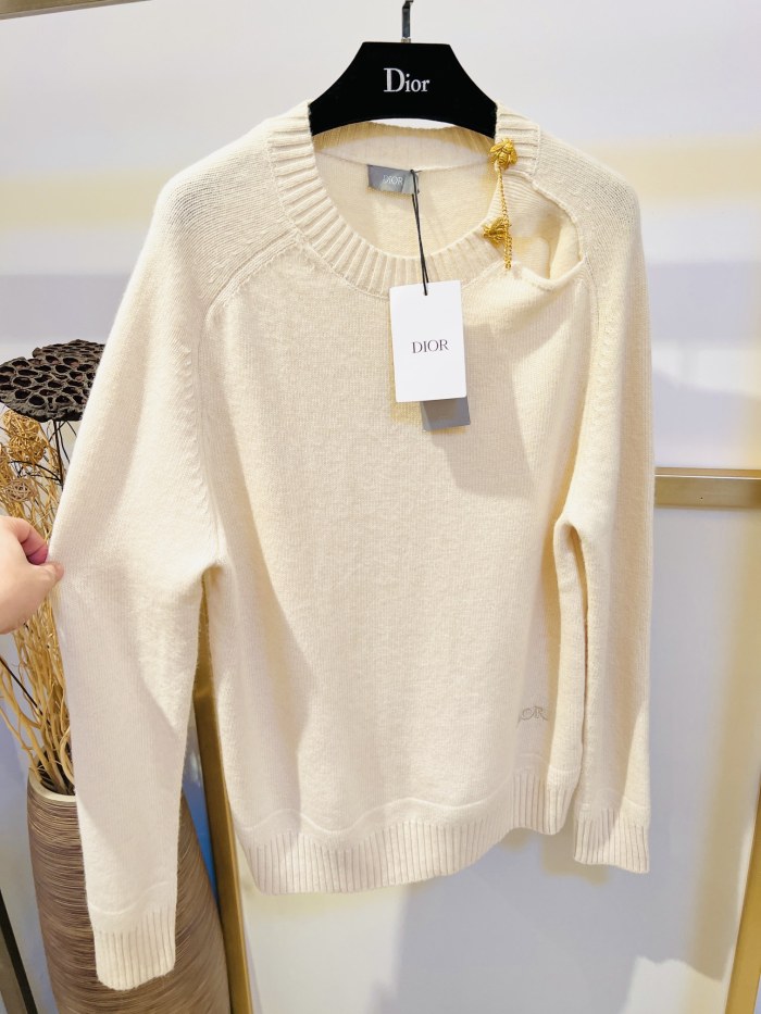 D*ior Hoodie Top Quality D17 20231031-2