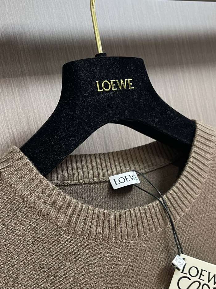 L*oewe Sweatshirt Top Quality D17 20231102-37