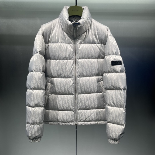 D*ior Down Coat Top Quality D17 20231108-47