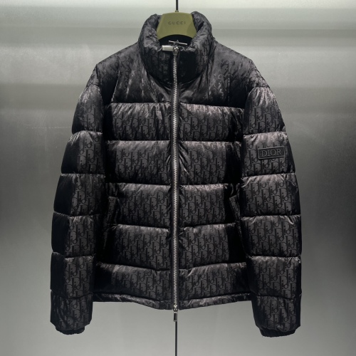 D*ior Down Coat Top Quality D17 20231108-51