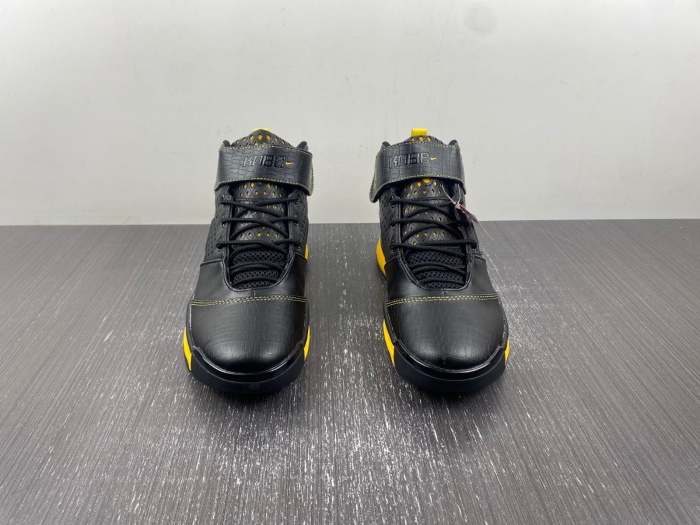 Zoom Kobe 2 Carpe Diem  316022-001