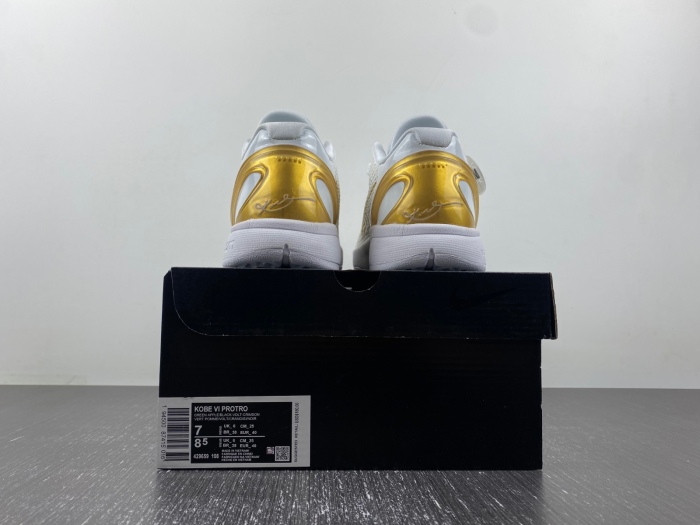 Kobe 6 Protro 429659-108