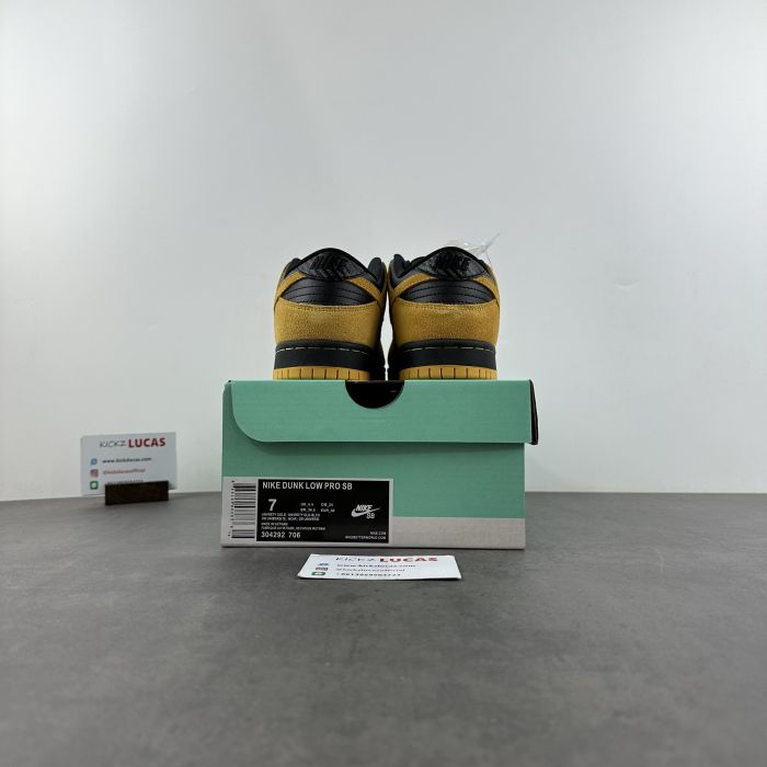 SB Dunk Low Iowa  304292-706