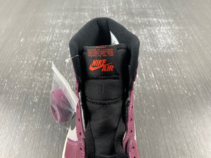 Air Jordan 1 High Element Gore-Tex Berry  DB2889-500