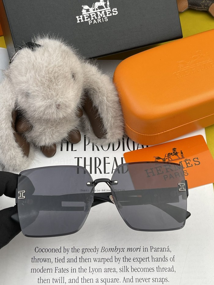 H*ermes Glasses Top XX 20240328-13