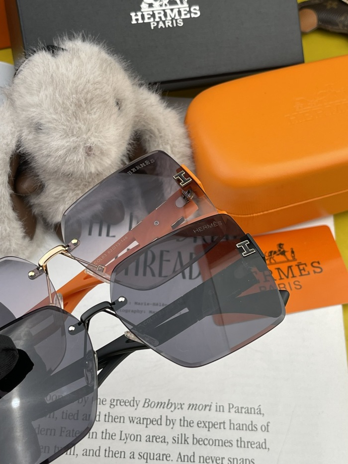 H*ermes Glasses Top XX 20240328-13