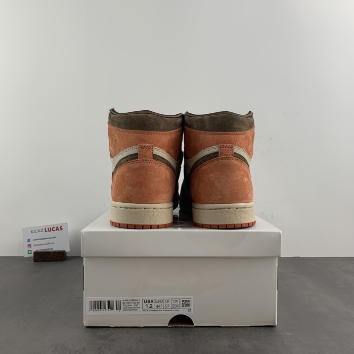 Air Jordan 1 Retro High OG SP Dusted Clay FQ2941-200