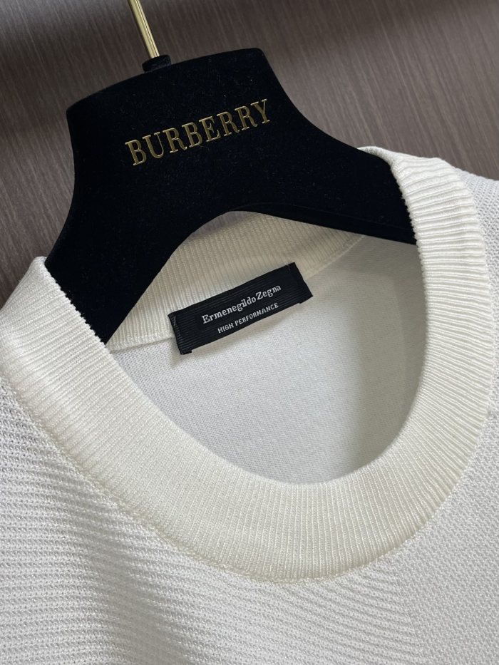 Z*egna T-shirt Top Quality D17 20240520-1