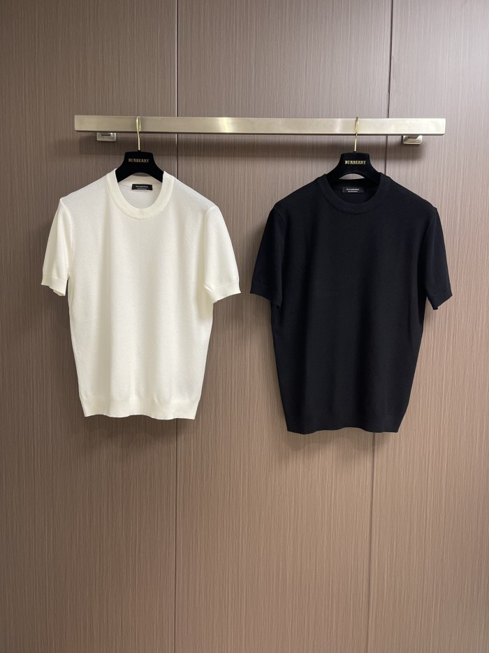 Z*egna T-shirt Top Quality D17 20240520-1