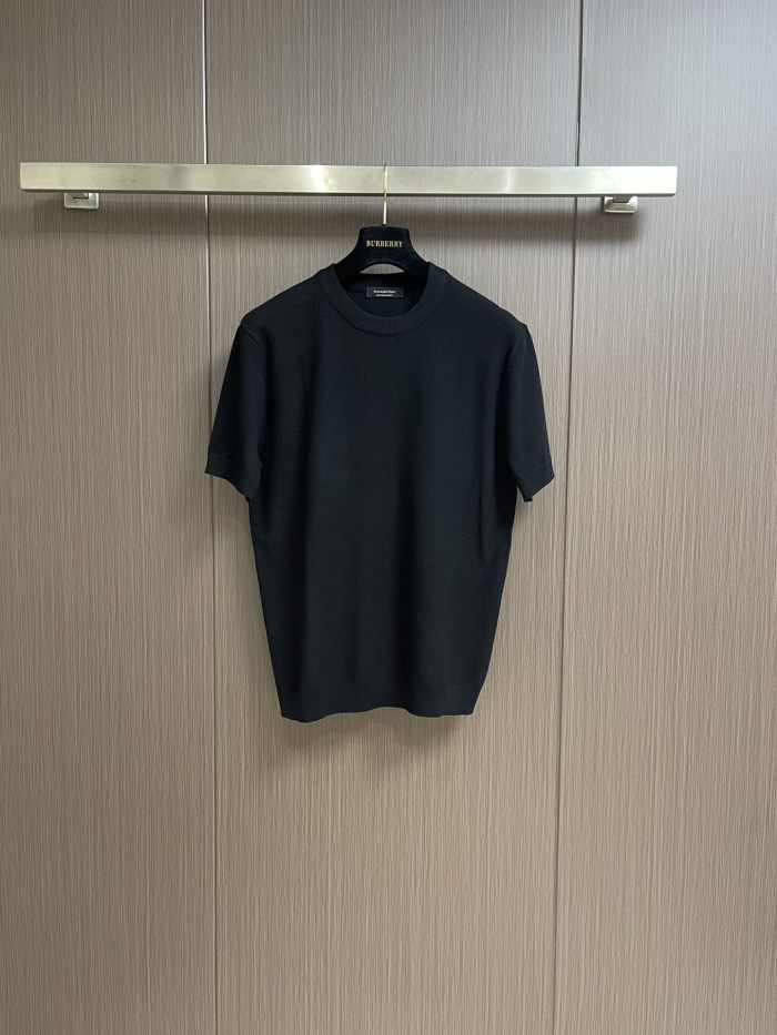 Z*egna T-shirt Top Quality D17 20240520-2