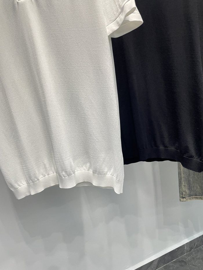 Z*egna T-shirt Top Quality D17 20240520-10