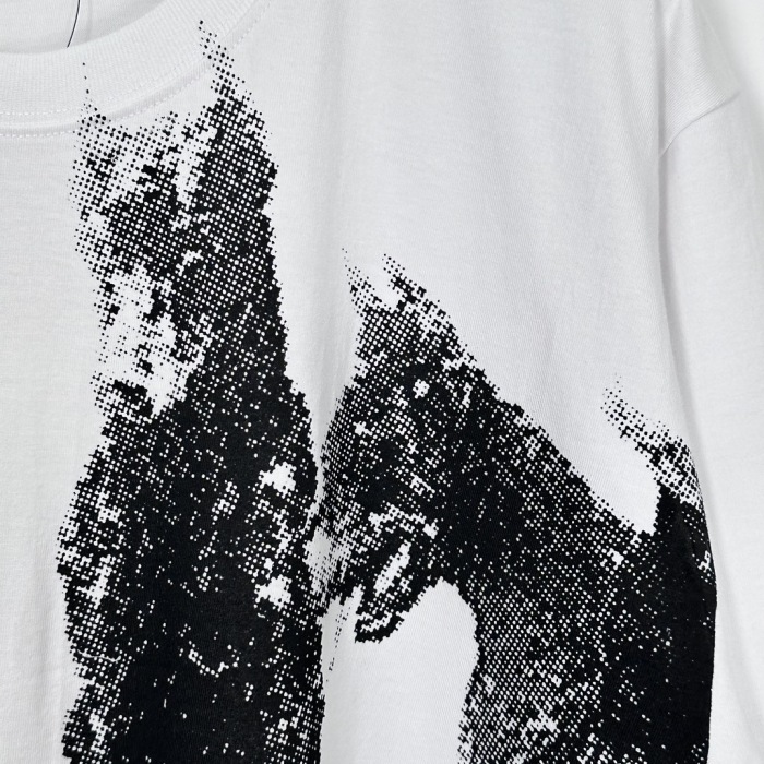 S*tussy T-Shirt Top Quality AM 20240603-37