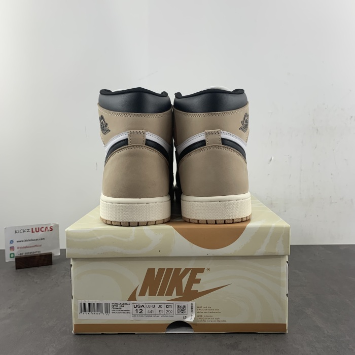 Air Jordan 1 High OG Latte FD2596-021