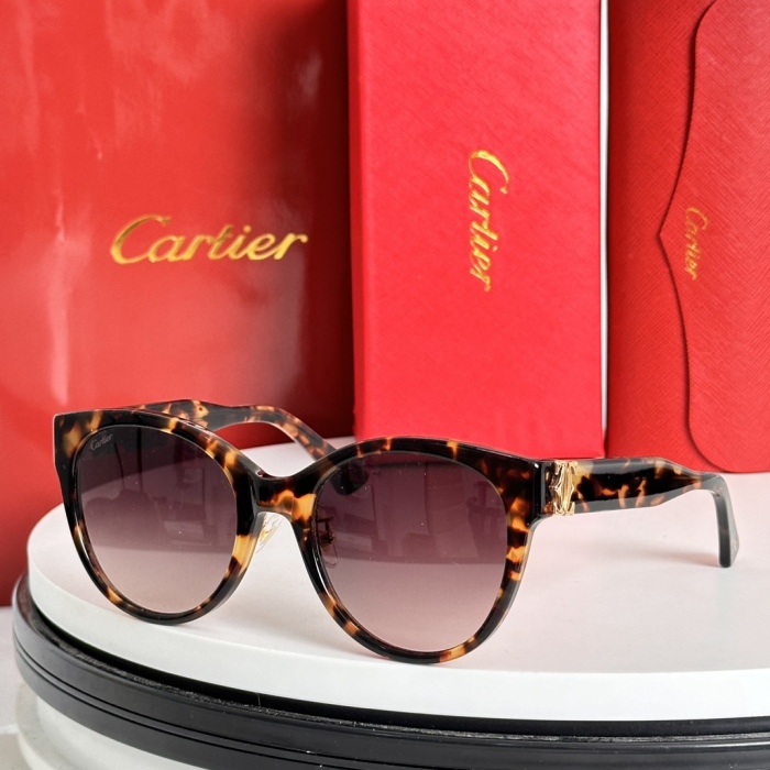 C*artie Glasses Top XX 20240717-10