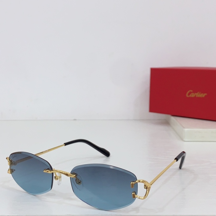 C*artie Glasses Top XX 20240718-86