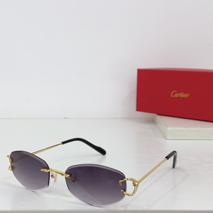 C*artie Glasses Top XX 20240718-86